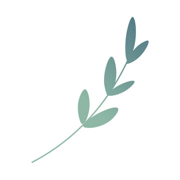 Minimalist branch with leaves vector illustration isolated on white. Delicate botanical element, simple leaf spring for nature and wellness design. Gradient green leaves on a thin branch