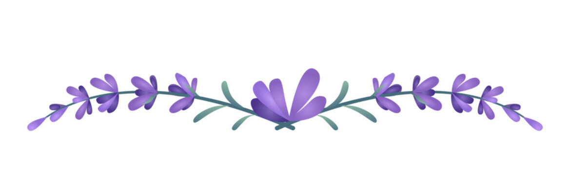 Lavender floral divider vector. Elegant purple flowers horizontal border isolated on white. Hand drawn lavender sprigs decorative line art. Perfect for wedding invitation or menu design. 