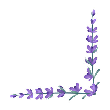 Lavender flower corner frame border flat vector illustration isolated on white background. Lavender floral divider vector. Flowers border with lavender sprigs for wedding invitation or menu design. 