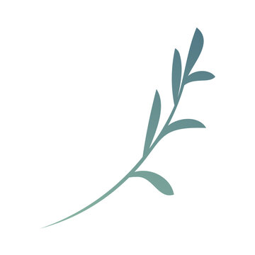 PrintMinimalist branch with leaves vector illustration isolated on white. Delicate botanical element, simple leaf spring for nature and wellness design. Gradient green leaves on a thin branch
