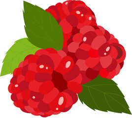 Raspberry © blackbean