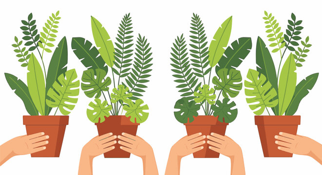 Flat vector illustration showing hands holding terracotta flower pots with various green tropical house plants including monstera and ferns, isolated on a white background.