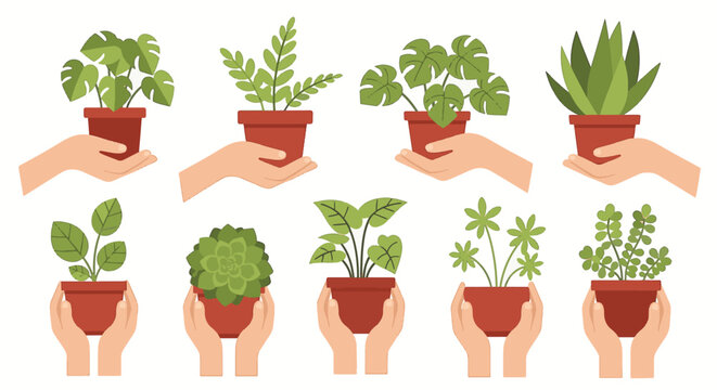 Flat vector illustration set of human hands holding various indoor potted plants including monstera, succulents, and greenery in terracotta pots isolated on white background.