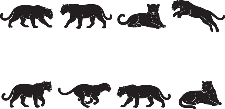 Black panther silhouette vector set, wild leopard and jaguar icons in 8 poses, predatory big cat silhouettes for sports mascot and logo design isolated on Transparent Background