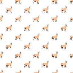 Fototapeta premium Okapi animals standing in a seamless repeating pattern on a white background