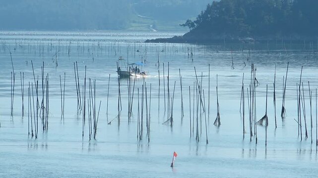 Scenic view of a peaceful Korean southern sea fishing village with local fisherman boats, mudflats, and islands in Namhae / 한국 남해바다 어촌 마을 풍경, 어민들의 고기잡이 배와 평화로운 섬, 갯벌 해안가 풍경 영상