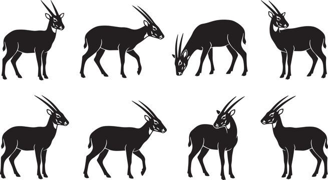 Black gazelle silhouettes set, 8 vector antelope icons in various poses, wild african animal profile graphics for logo design and nature branding isolated on Transparent Background