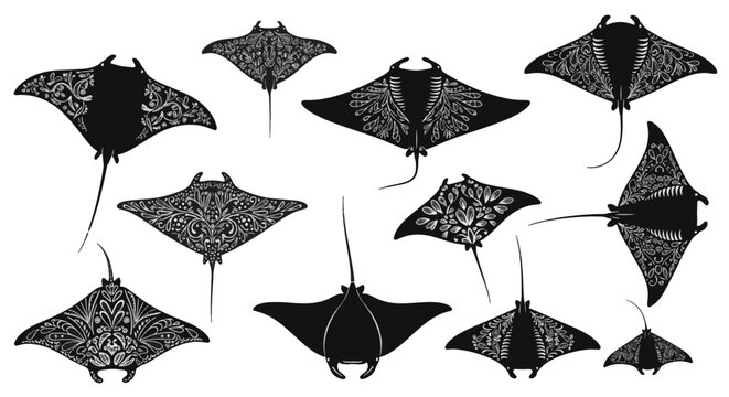 Collection of diverse manta ray silhouettes decorated with intricate white mandala patterns and tribal line art, isolated on a plain white background for graphic design elements.