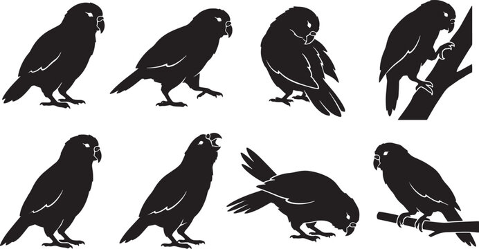 Parrot silhouette collection, 8 black bird vector icons in various poses, tropical parakeet and macaw shapes for nature design and wildlife logos isolated on Transparent Background