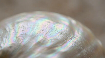 Naklejka premium Close-up macro photograph of iridescent mother of pearl texture with rainbow nacre reflections
