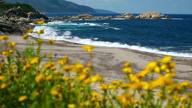 Korsika, Strand von Liamone.