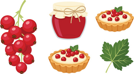 Fresh redcurrant berry vector illustration set with ripe red currant bunch glass jar of sweet homemade jam tartlet desserts and green leaf isolated on white background © MdSazib