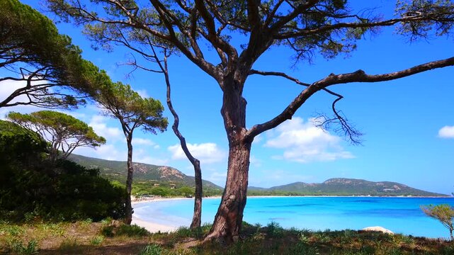 Korsika, Strand Palombaggia.