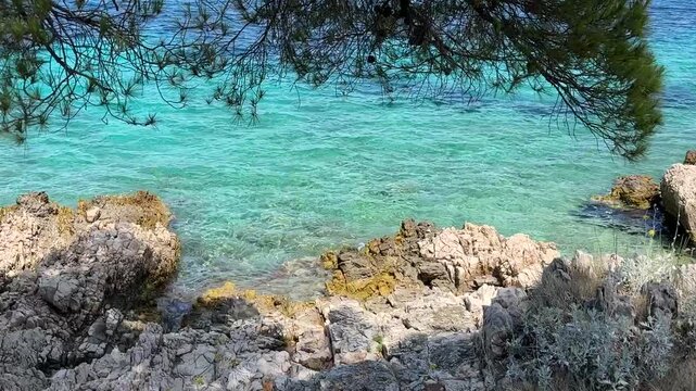 Enjoying clear water and rocky shore at a beautiful coastal spot in summer