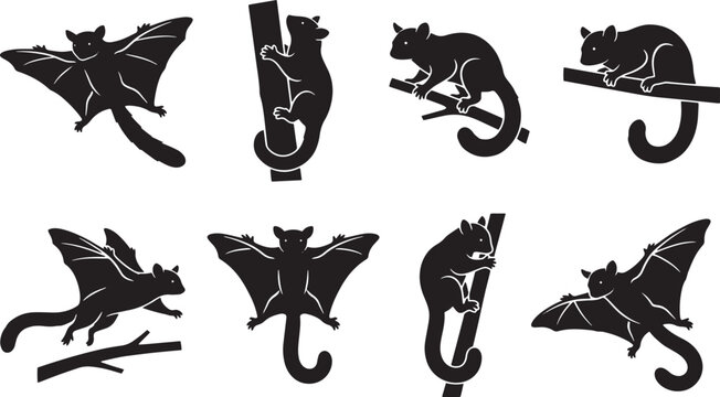 Sugar glider silhouette vector set, 8 flying squirrel icons in black, nocturnal marsupial animal collection for wildlife education and nature branding isolated on Transparent Background