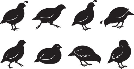 Fototapeta premium Quail silhouettes, black quail icons, quail vector set, bird silhouettes isolated on Transparent Background