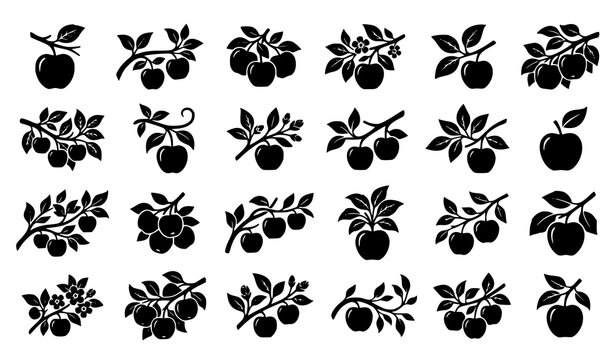 Apple Branch Silhouette Vector Set with Single Fruit Tree Twig Harvest Nature Botanical Icons Collection
