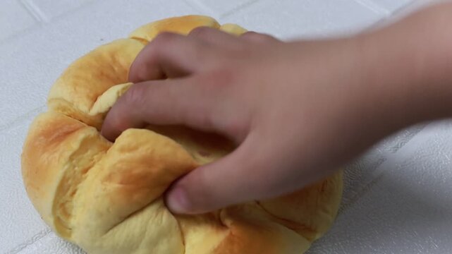 Hand Squeezing Soft Squishy Toy with Slow Rising Foam