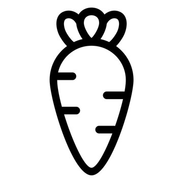Fresh Organic Carrot Vegetable Line Icon