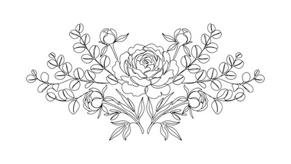 Continuous line art of peony flowers and eucalyptus bouquet © DrASMShaker