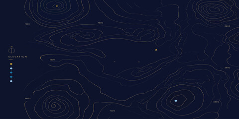 Complex topographic map contour lines for cartography with topography elevation cartography geography navigation background abstract technical landscape location stylized structure © MOHAMAD