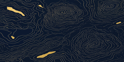 Topographic map contour lines with highlighted terrain features topography elevation geography landscape cartography navigation abstract highlights geographic background structure artistic © MOHAMAD