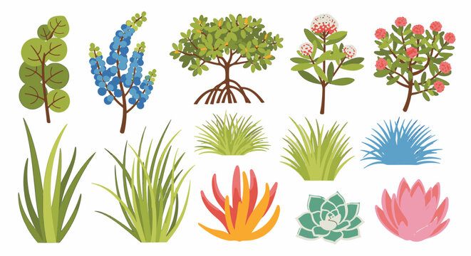 Vector collection of colorful coastal plants featuring mangrove trees, sea grapes, tropical shrubs with flowers, ornamental grasses, and succulents isolated on a white background.