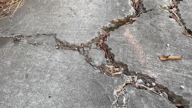 Close Up of Severely Cracked Concrete Surface in Need of Repair