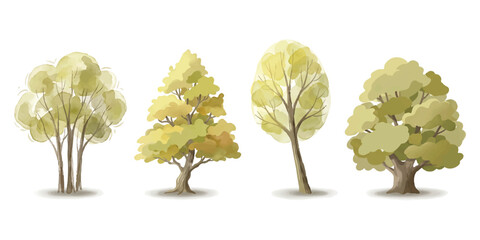 Set of four different green deciduous trees with lush foliage and detailed trunks illustration ©  Designer