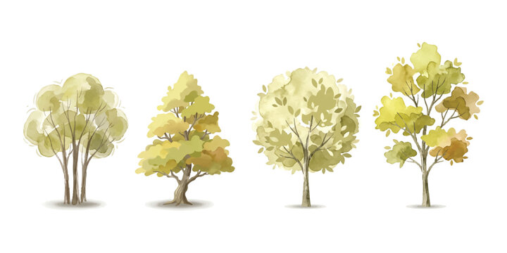 Set of four different green deciduous trees with colorful leaves for landscape design