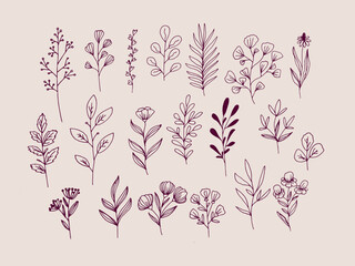 Abstract hand drawn doodle leaves, flower. Botanical design. Template design elements for background, pattern, banner. Flower set. Leaves set. © jane55