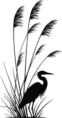 Fototapeta premium Heron bird in reeds vector illustration, black silhouette marsh wildlife design isolated on white background