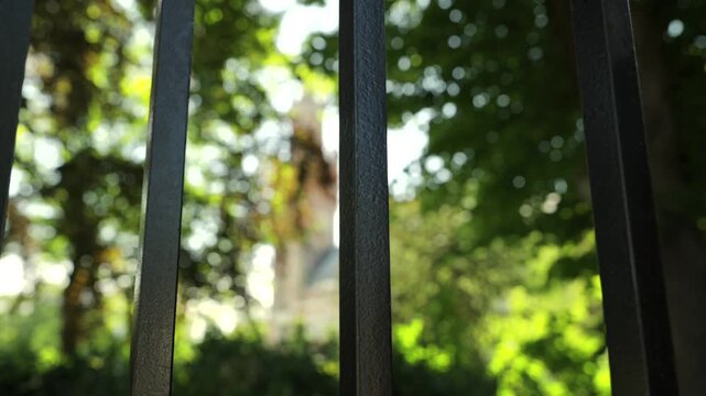 A black wrought iron fence stands sharp in focus with softly blurred trees in a sunlit park.