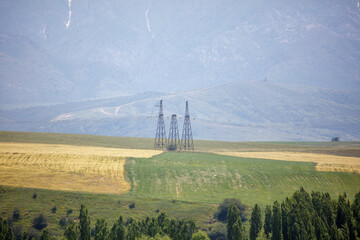 Fototapeta premium Electric towers stand in a golden field