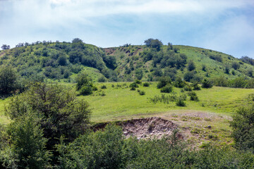 Fototapeta premium Lush green hillside under bright blue sky