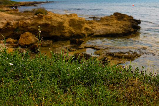 Paralimni seashore with rocks, stones and Mediterranean sea in Cyprus
