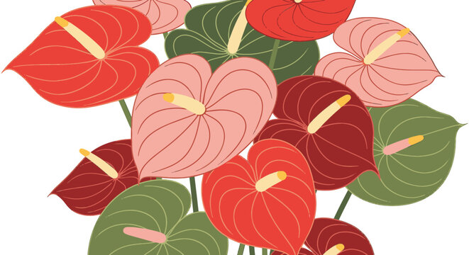Collection of colorful anthurium flowers including red, pink, and green varieties. Flat vector illustration of tropical laceleaf plants with heart-shaped spathes and spadix.