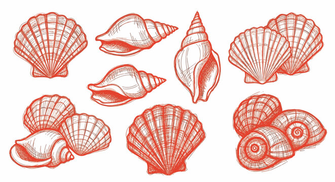 Red Ink Hand Drawn Sea Shell Collection Featuring Scallops Conchs and Gastropods on White Background Vintage Etched Marine Life Illustration Set for Coastal Decor and Design.
