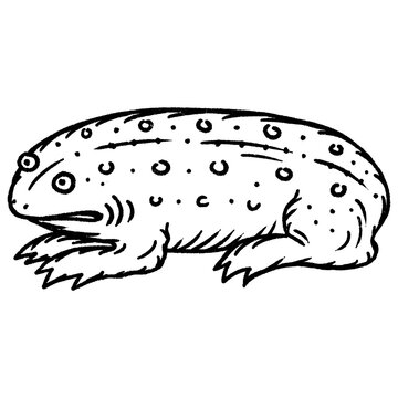 Medieval frog or toad vintage engraving style illustration