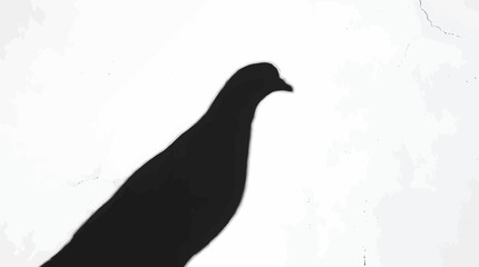 Fototapeta premium Minimalist pigeon head and torso close up silhouette artistic street bird profile crop vector graphic illustration