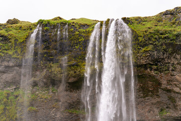 Close view of Seljalandsfoss waterfall cascading over a moss-covered basalt cliff, Iceland © ThinDepthMacro