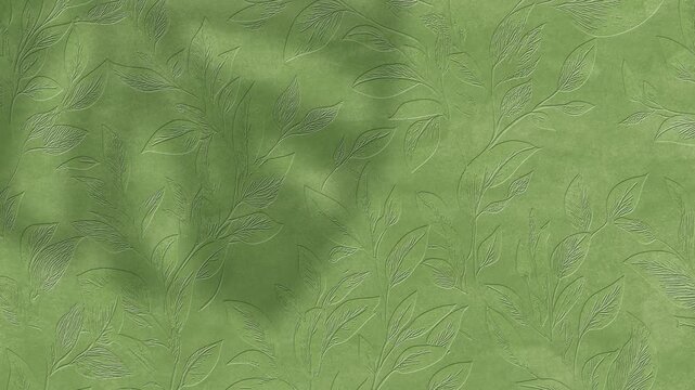 Sage green luxury paper background with blurred shadows of tropical monstera leaves, organic cosmetics branding backdrop, smooth moving shadow texture, 4k video footage