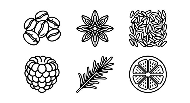 Food Icons Set: Coffee Beans, Anise, Rice, Raspberry, Rosemary, Citrus Slice