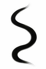 Fototapeta premium A single, elegant S-shaped brushstroke of black ink on white.