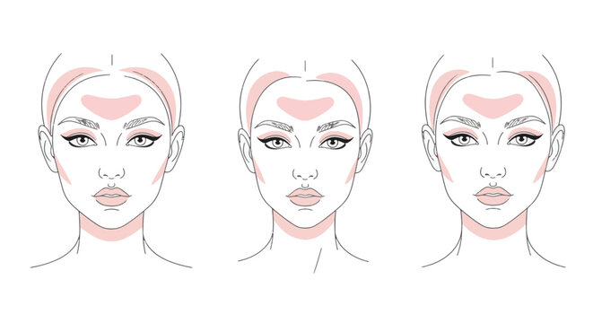 Vector line art illustration showing three female face diagrams with pink highlighted zones for forehead shape analysis, makeup contouring, and facial anatomy cosmetic guides.