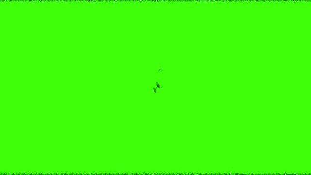 Circular Organic Shape Expansion Matte Transition for Green Screen Reveal 4k video