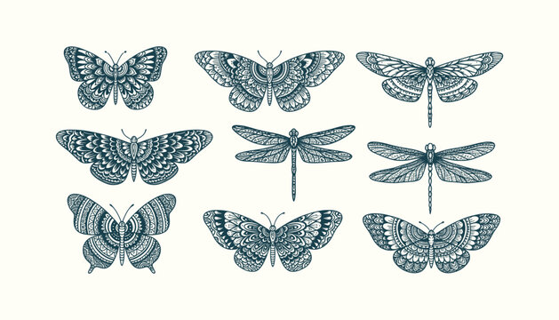 Hand Drawn Intricate Mandala Butterfly and Dragonfly Vector Illustration Set for Tattoo and Decor.