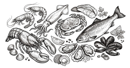 Fototapeta premium Hand drawn seafood collection with salmon, shellfish, squid and oysters in retro engraving style for menu, packaging and culinary design, cut out