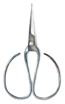 Watercolor hand drawn top view illustration of steel Chinese bonsai scissors with long handles, soft shadow, isolated on white background. Rustic cutting tool for garden, kitchen, herb packaging