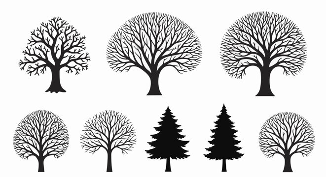 Collection of eight black tree silhouettes featuring leafless deciduous branches and evergreen conifer shapes. Minimalist botanical graphics isolated on white for nature design.